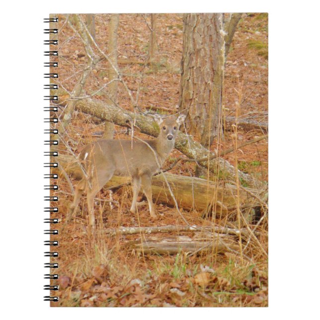 Caderno Espiral Primeiro inverno do Baby Deer (Frente)