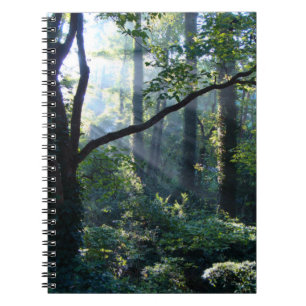 Caderno Espiral Primeiro notebook leve