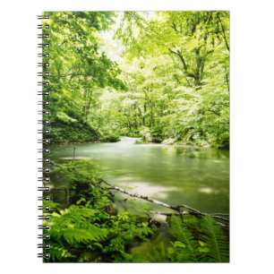 Caderno Espiral Profundamente na floresta