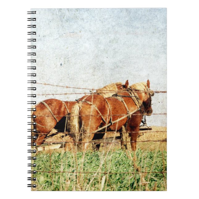 Caderno Espiral Pronto Para O Trabalho, Dois Cavalos De Rascunho (Frente)
