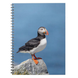 Caderno Espiral Puffin Atlântico em Machias, Maine