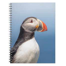 Caderno Espiral Puffin Atlântico em Machias, Maine