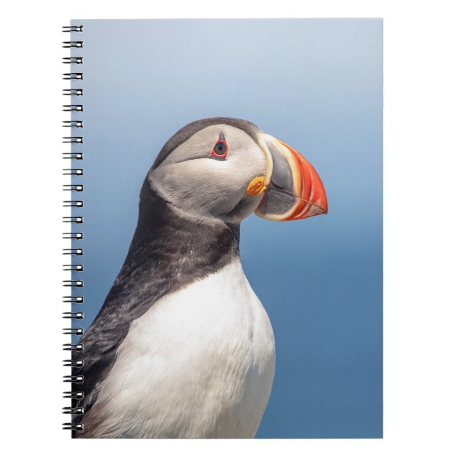 Caderno Espiral Puffin Atlântico em Machias, Maine (Frente)