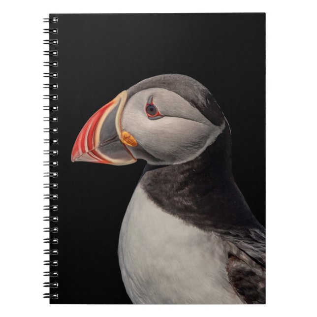 Caderno Espiral Puffin Atlântico em Machias, Maine (Frente)