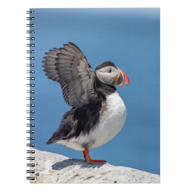 Caderno Espiral Puffin Atlântico em Machias, ME (Frente)