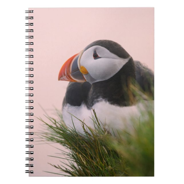 Caderno Espiral Puffin Atlântico (Fratercula arctica) (Frente)