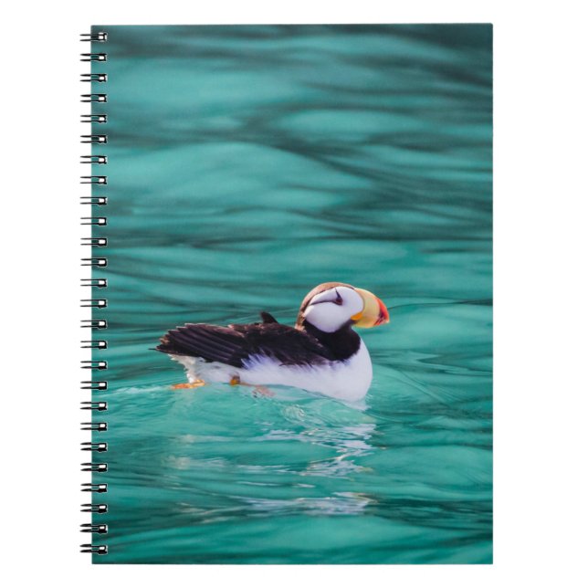 Caderno Espiral Puffin In Resurrection Bay, Alaska (Frente)