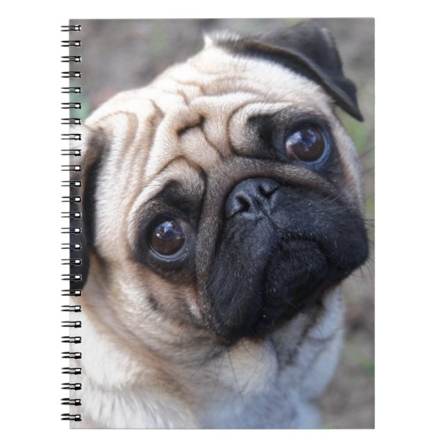 CADERNO ESPIRAL PUG (Frente)