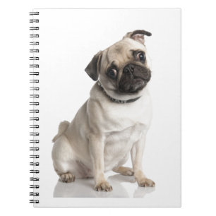 Caderno Espiral Pug