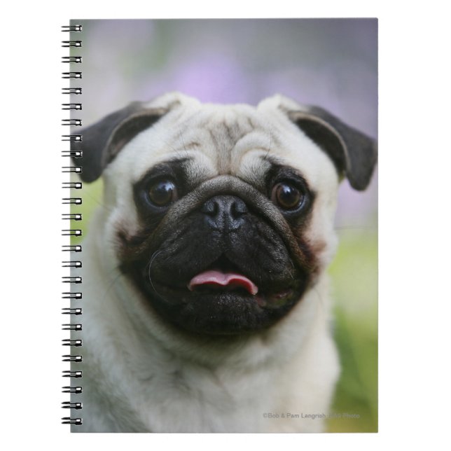 Caderno Espiral Pug da jovem corça no alerta (Frente)