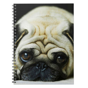 Caderno Espiral Pug de Cueca