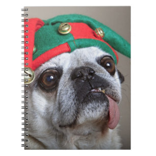 Caderno Espiral Pug de vista engraçado com a língua que pendura