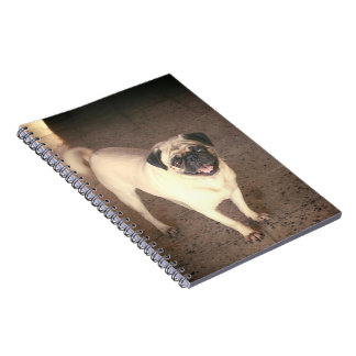 Caderno Espiral Pug design notebook(80 Páginas)