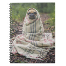 Pug em um notebook espiralado em branco