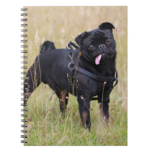 Caderno Espiral Pug preto que cola para fora Tounge