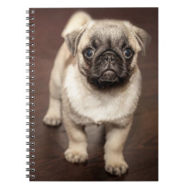 Caderno Espiral Pug Puppy no chão de madeira polida