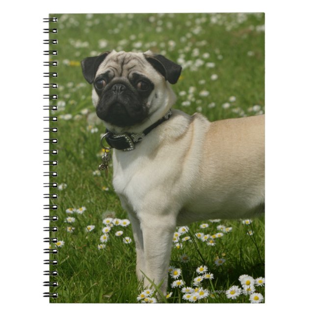 Caderno Espiral Pug que joga nas flores (Frente)