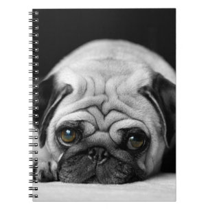 Caderno Espiral Pug triste
