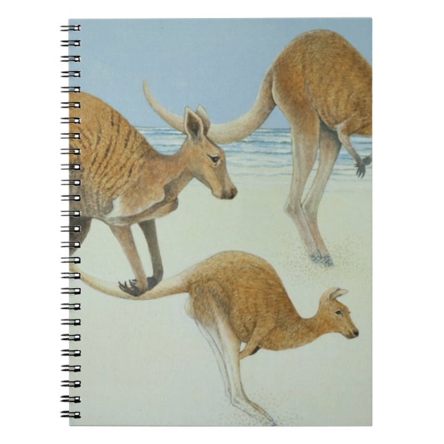 Caderno Espiral Pulo adiante (Frente)