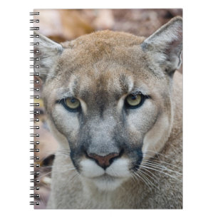 Caderno Espiral Puma, leão-da-montanha, pantera-da-flórida, Puma