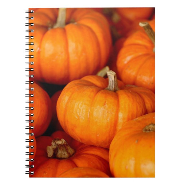 Caderno Espiral Pumpkins (Frente)