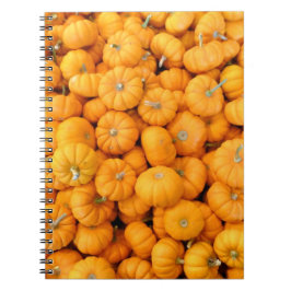 Caderno Espiral Pumpkins de Colheita de Pequeno Laranja