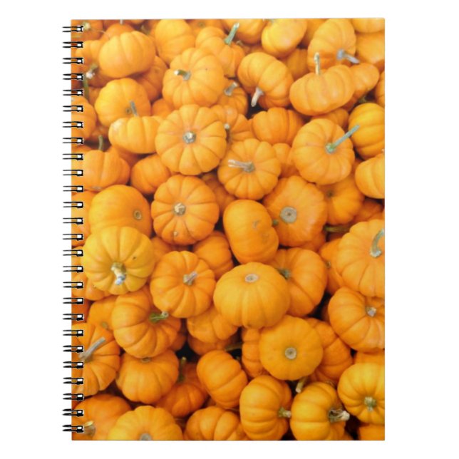 Caderno Espiral Pumpkins de Colheita de Pequeno Laranja (Frente)