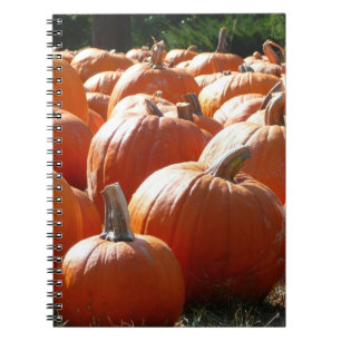 Caderno Espiral Pumpkins Foto para Queda, Dia das Bruxas ou Ação
