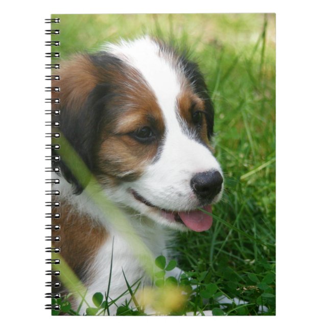 Caderno Espiral Puppy (Frente)