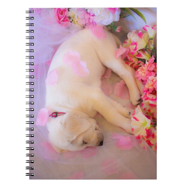 Caderno Espiral Puppy Sleepy Veil 01 (Frente)