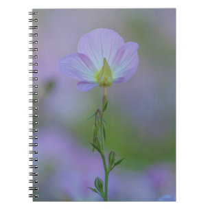 Caderno Espiral Purple Primrose