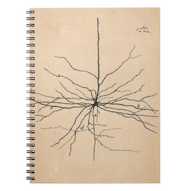 Caderno Espiral Pyramida Neuron Desenho Santiago Ramon y Cajal (Frente)