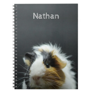 Caderno Espiral Quadro bonito da cobaia personalizado