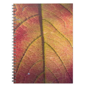 Caderno Espiral Quadro de Placa de Licença