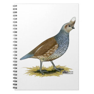Caderno Espiral Quail escalável