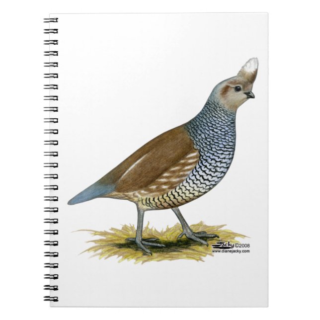 Caderno Espiral Quail escalável (Frente)