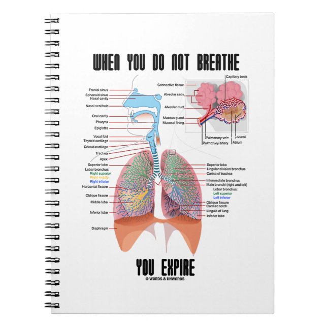 Caderno Espiral Quando Não Respirar O Sistema Respiratório Expirat (Frente)