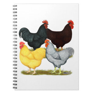 Caderno Espiral Quarteto de galinha com galinha pesada