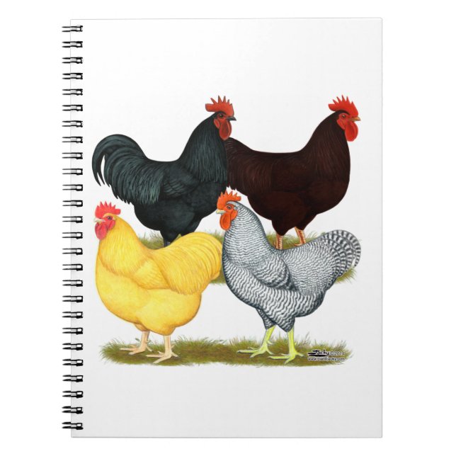 Caderno Espiral Quarteto de galinha com galinha pesada (Frente)