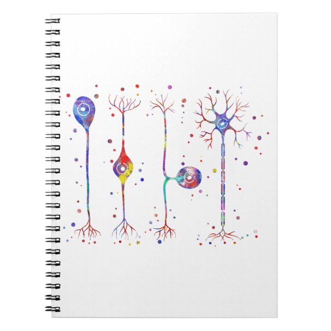 Caderno Espiral Quatro tipos de neurônios (Frente)