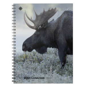 Caderno Espiral Queda - Alce