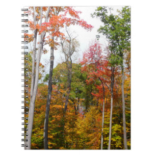 Caderno Espiral Queda na fotografia do outono da Floresta Colorida