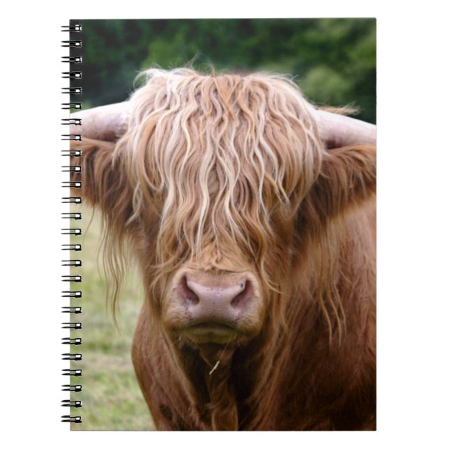 Caderno Espiral Quem Desligou o Notebook das Luzes (Frente)