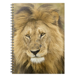 Caderno Espiral Quênia Masai Mara