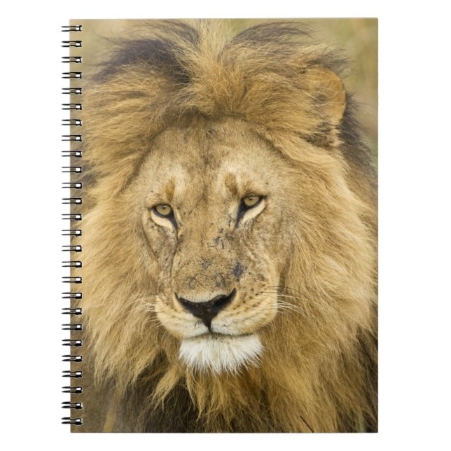 Caderno Espiral Quênia Masai Mara (Frente)