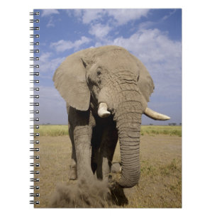 Caderno Espiral Quênia: Parque Nacional de Amboseli, elefante mach