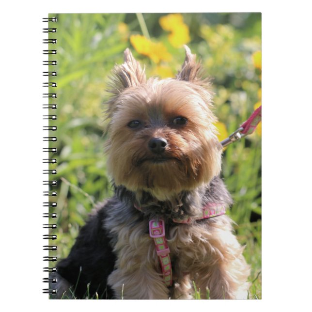 Caderno Espiral Querido simples (Frente)