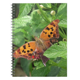 Caderno Espiral Question Mark Butterfly on Lantana