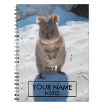 Quokka Personalizada Na Praia