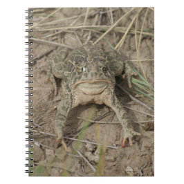 Caderno Espiral R10 Prairie Toad